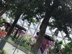 -樟宜机场免税店