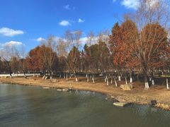 -九科绿洲