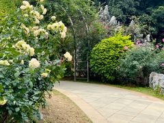 -人民公园(罗湖区)