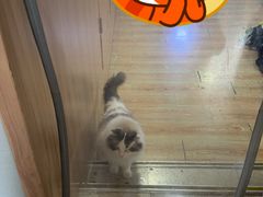 -白兔子密室(长寿路店)