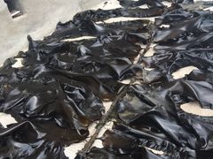 -西涌国际滨海旅游区