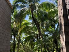 -海南清水湾莱佛士酒店