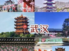 -海合安武汉极地海洋公园