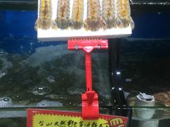 -蚝专家(北滘店)