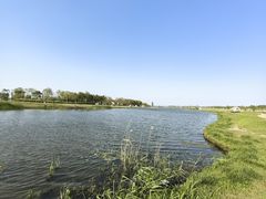 -春花秋色城市公园