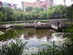 -文瀛公园