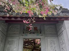 -深圳国际园林花卉博览园