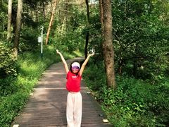 -帽儿山国家森林公园