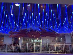 -蟹之国·精品蟹料理(极地店)