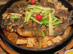 -老板恋上鱼(振华商厦店)