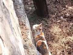 -四门塔风景区