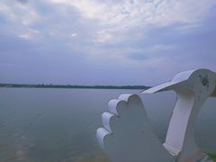 -丁香湖公园