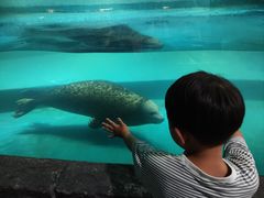 -嘉兴海底世界