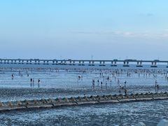 -南汇嘴观海公园