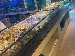 -海天盛宴潮汕蒸汽海鲜高端自助形象店