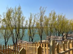 -青龙湖公园
