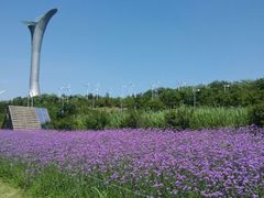 android_upload_pic-沈阳植物园