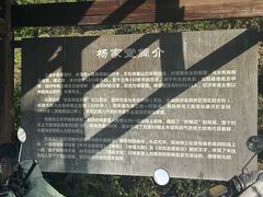 -杨家堂村