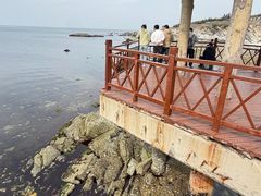 -养马岛旅游度假区