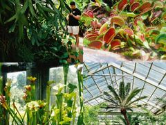 -国家植物园南园