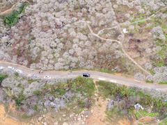 -广州市流溪河国家森林公园