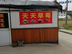 -青浦采草莓天天草莓园