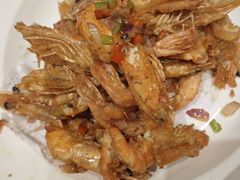 -新侨小馆(东直门北小街店)