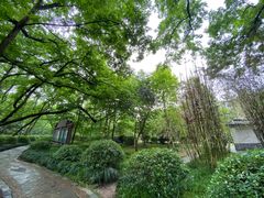 -金孔雀温泉旅游度假村