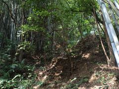 -黄埔油麻山森林公园