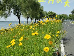 -阳澄湖半岛旅游度假区