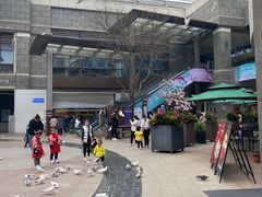 -中粮·祥云小镇
