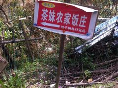 -洪崖丹井