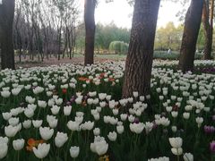 -长春公园(普阳街道)