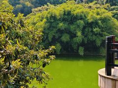 -九龙潭景区