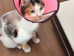 -联合动物医院(光谷诊疗中心)