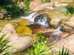 -广州白江湖森林公园