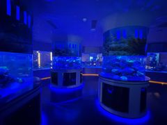 -上和臻品中国菜(花园街店)