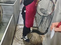 -大理.老字号渝记酸萝卜乌鱼(古城总店)