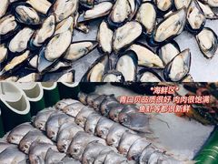 -欢乐牧场(T12店)