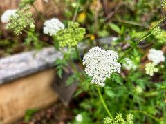 -广州神农草堂中医药博物馆