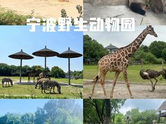 -宁波野生动物园