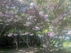 -丰台花园