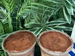 -CHARLIETOWN红茶公司(南京万象天地店)