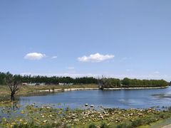 -天津武清北运河郊野公园房车露营地