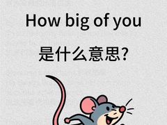 -引领英语·成人口语·雅思托福