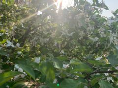 -Bracket Coffee(银河SOHO店)