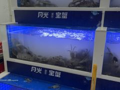 -蟹状元大闸蟹·年货·粽子(成都成华店)