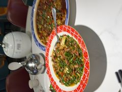 -新概念来凤鱼(璧山店)