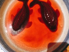 锦鲤鸭血-杨家火锅(国美店)
