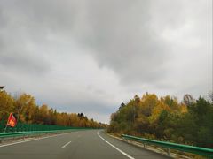 -汤旺河林海奇石景区